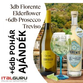 Hugo CSOMAG (Fiorente - Treviso)